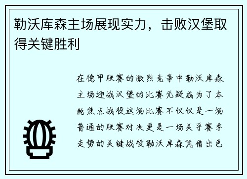 勒沃库森主场展现实力，击败汉堡取得关键胜利